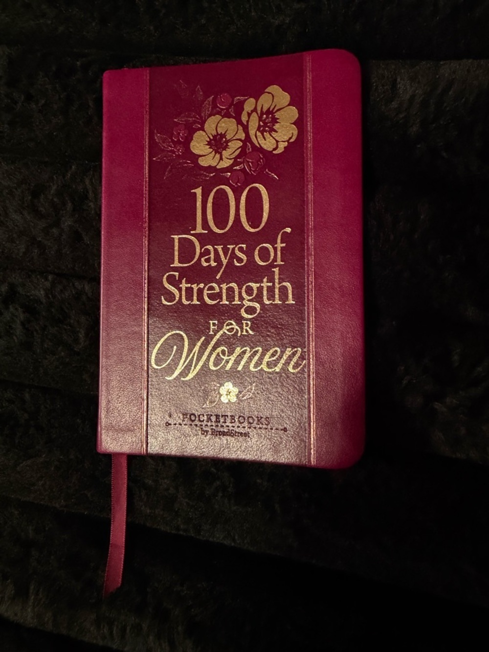 NEW 100 Days of Strength for Women: Pocketbooks devotional book
